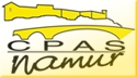 Logo CPAS Namen